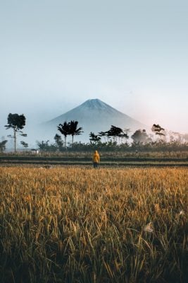 How to Start Forex Trading in Indonesia
