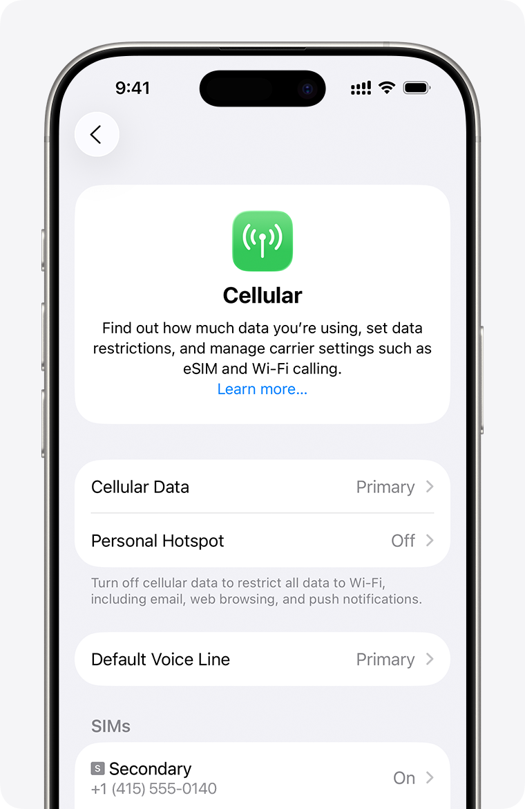 iPhone screen for managing cellular settings for each of your plans