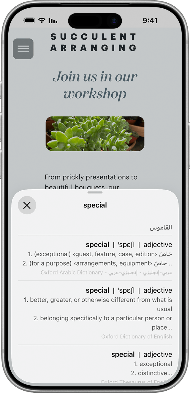 يبحث مستخدِم iPhone عن كلمة "مسرور" في القاموس بعد استخدام "النص الحي" لتحديد الكلمة في الصورة.