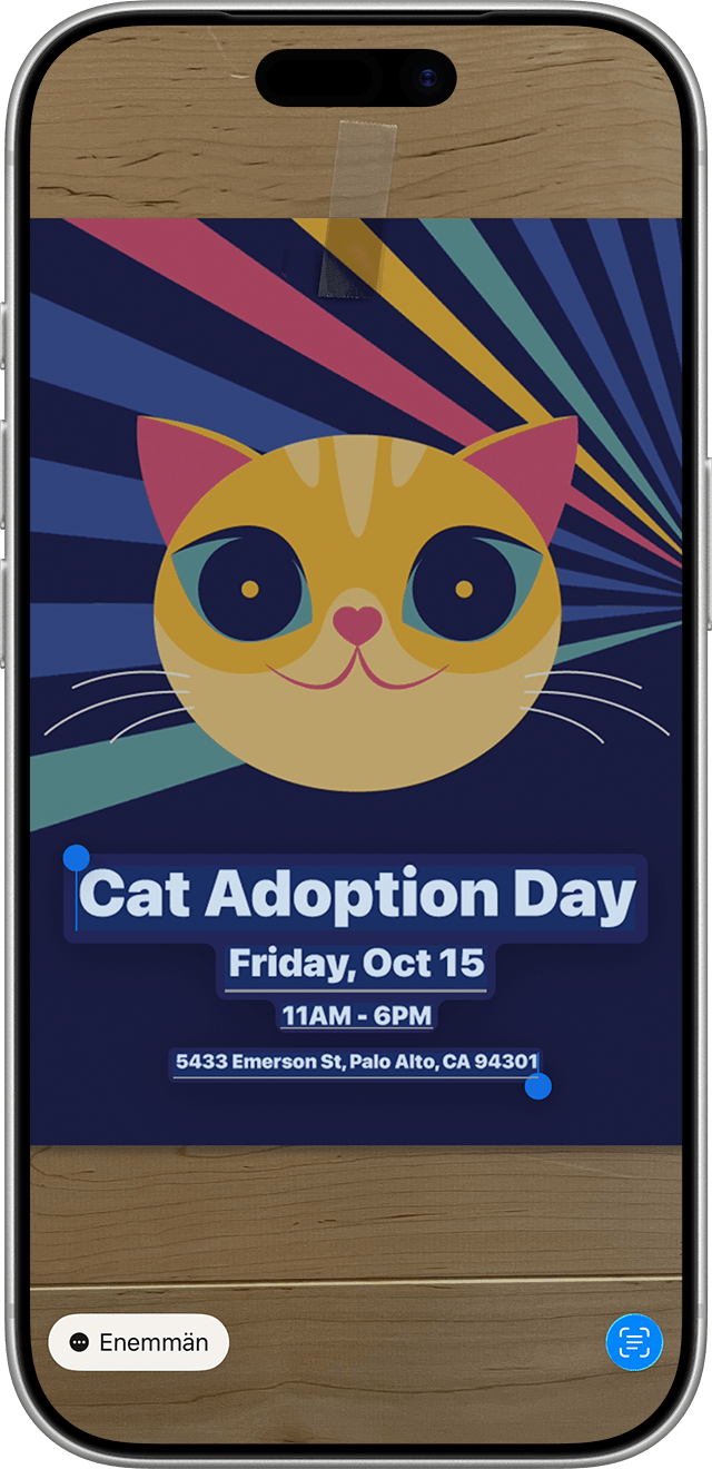 Tekstin korostaminen Cat Adoption Day -julisteessa iPhonessa Live-teksti-painikkeen näyttämiseksi