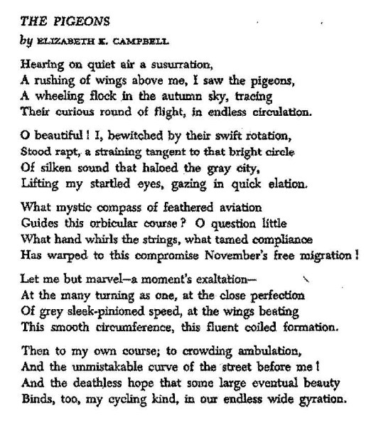 Profile-E. Campbell p 4