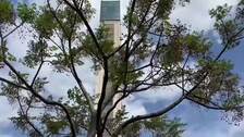 La mayor mezquita de África: la Djamaa El-Djazaïr en Argelia