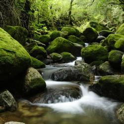 Yakushima 62 hotele