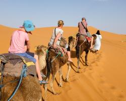 Merzouga Camp and Hostel