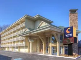 Comfort Inn & Suites at Dollywood Lane