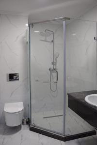 a bathroom with a shower with a toilet and a sink at MirOtel Hotel in Astana