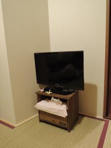 Televisi dan/atau pusat hiburan di Guesthouse Engawa
