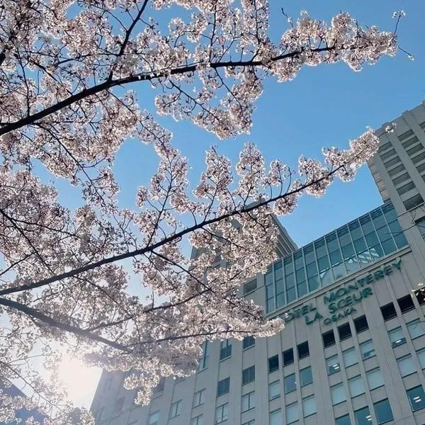 오사카에 위치한 호텔 호텔 몬토레 라 스루 오사카(Hotel Monterey La Soeur Osaka)