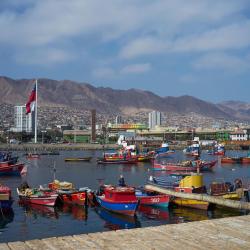 Antofagasta Region 8 glampings