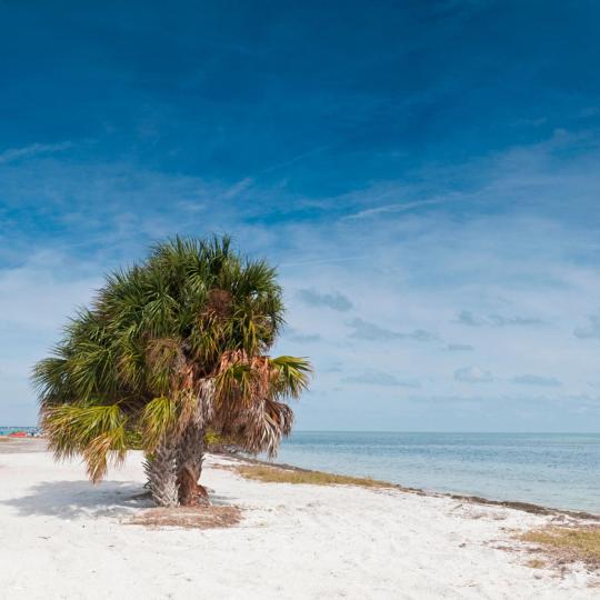 Art and nature at St Pete Beach