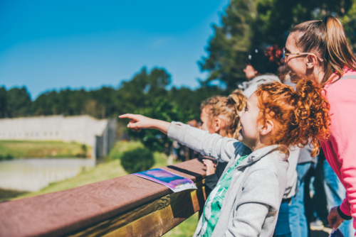 discovery day kids