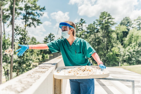 intern tossing food