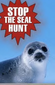 sealhunt2 sealhunt2
