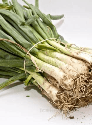 Calcots.png