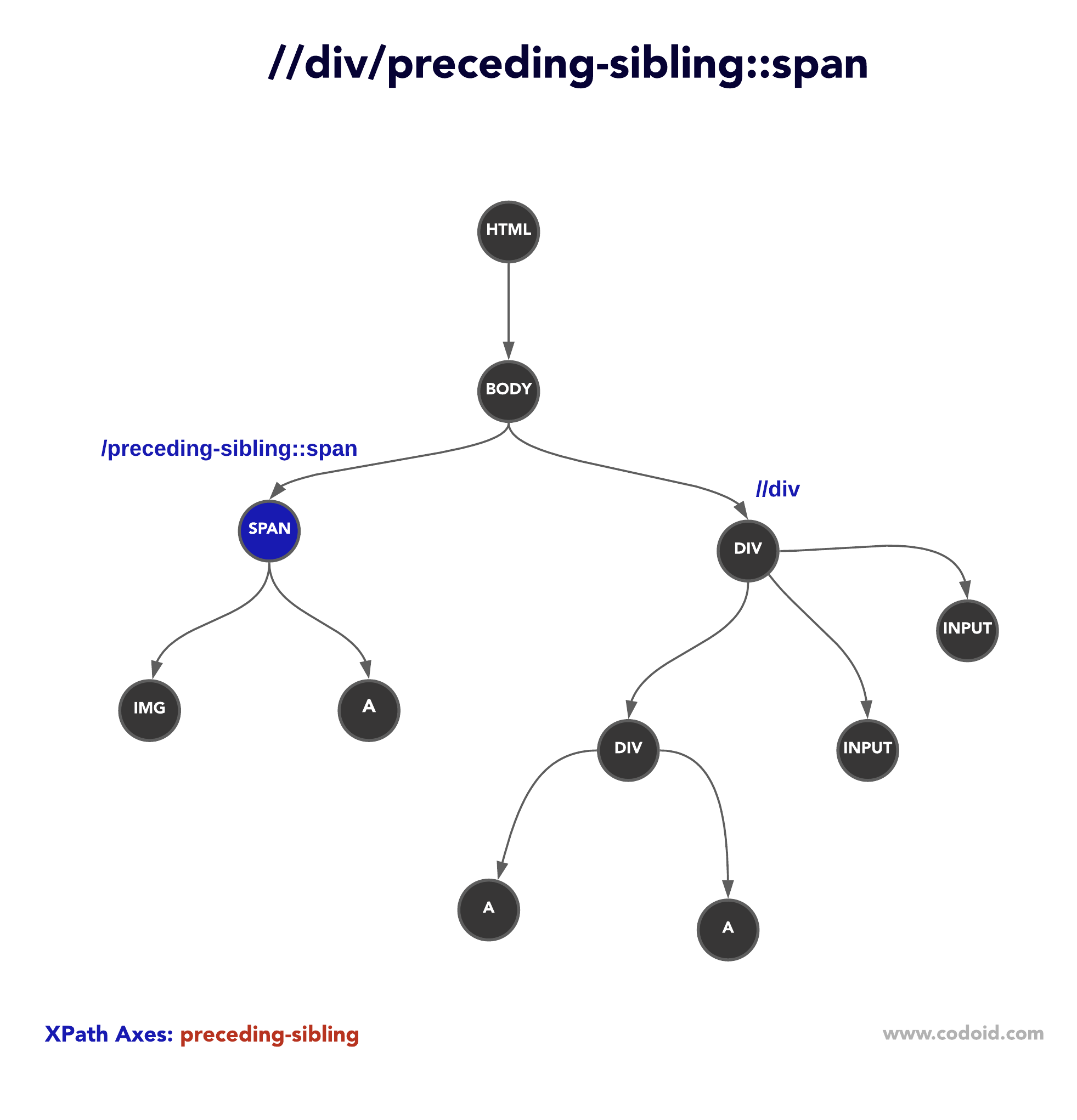 xpath preceding-sibling xpath preceding-sibling