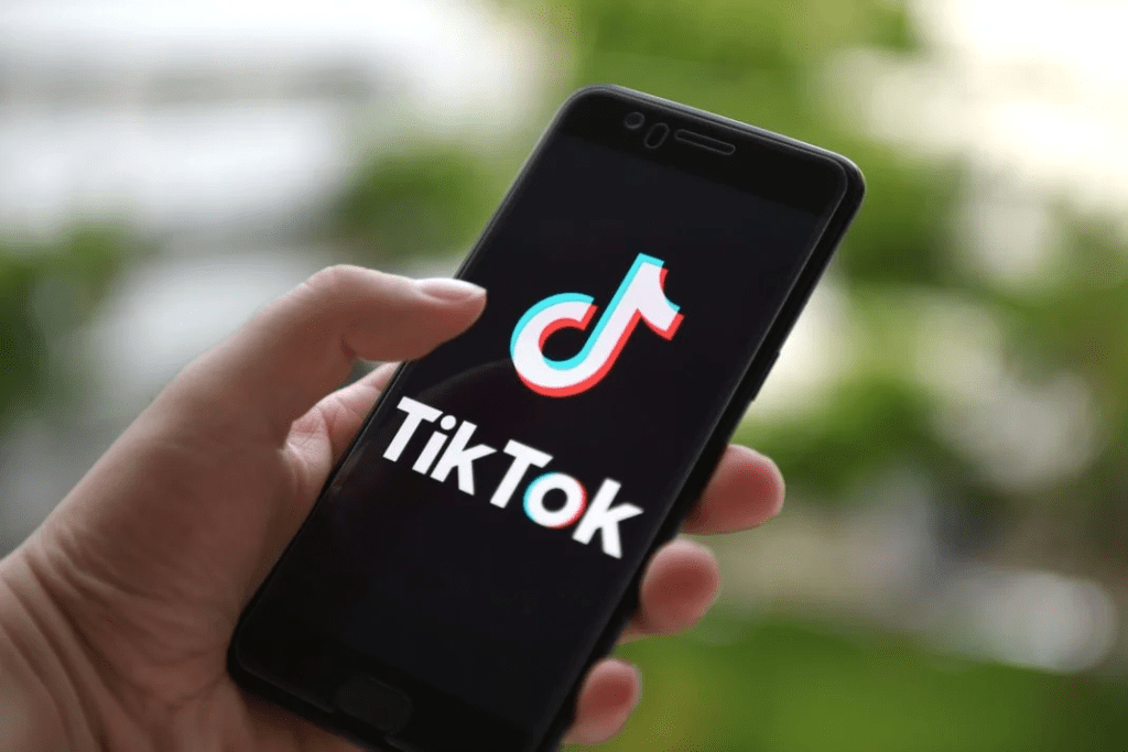 Briller sur TikTok en tant qu’élu : la (bonne) stratégie à adopter pour conquérir les cœurs et les pouces levés !