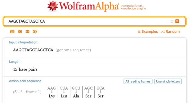 Wolfram|Alpha output for "AAGCTAGCTAGCTCA"