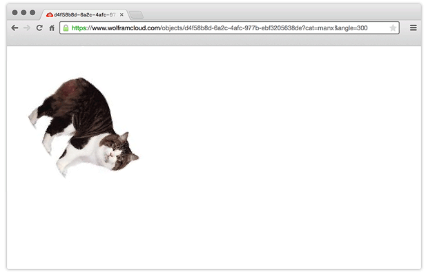 Manx cat at a 300-degree angle, in deployed API