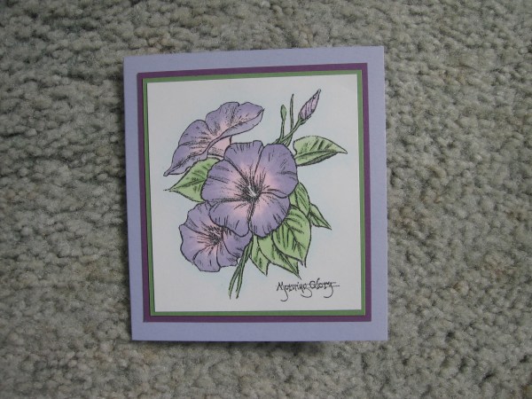 Nancy CC card