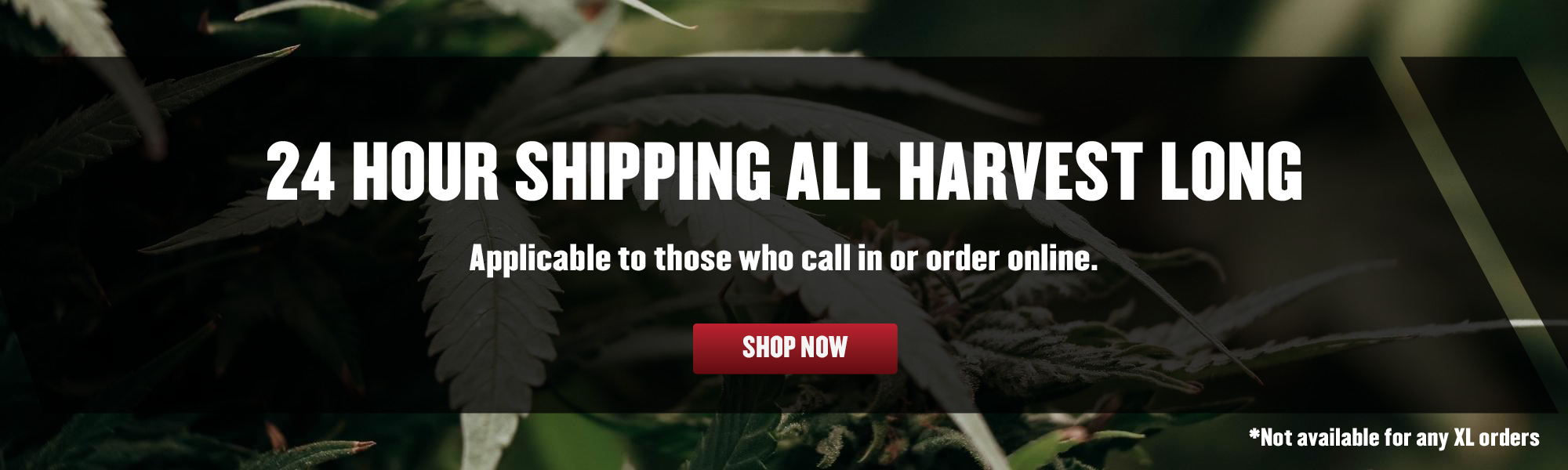 24-hour-shipping