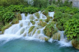 IMG_0483