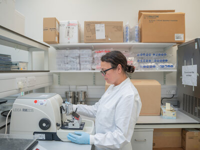 TISSUEBANK_2022_BCN3183.jpg