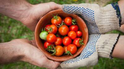 Climate crisis threatens Latin America's fight against hunger, UN report says