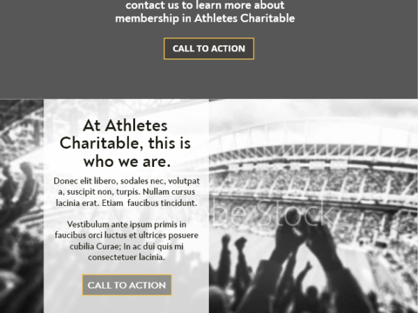 Athlete's Charitable Landing page
