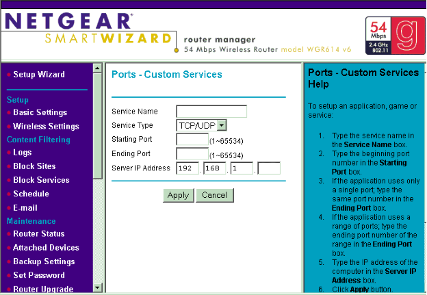 Settings displayed by an older Netgear router during port forwarding setup.
