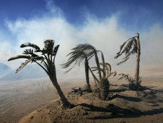 Santa Ana Sequel: Exhausted Angelenos Brace For Another “Particularly Dangerous” Windstorm With Gusts To 100 MPH