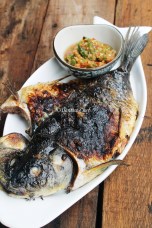 resep ikan bakar mudah sambal rawit dentist chef