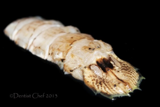 mantis shrimp canocchie udang ronggeng lipan