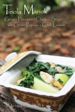 tinola chicken recipe soup philliphine ginger green papaya chili leaves