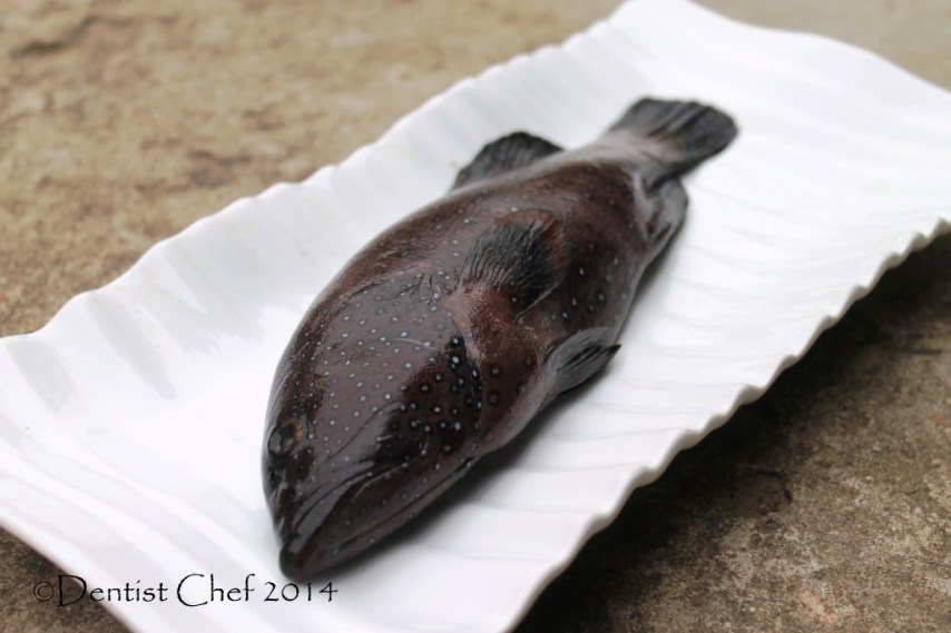 kerapu sunu hitam merah red coral trout seven star grouper garoupa fish red rock cod coral trout blue spotted fish