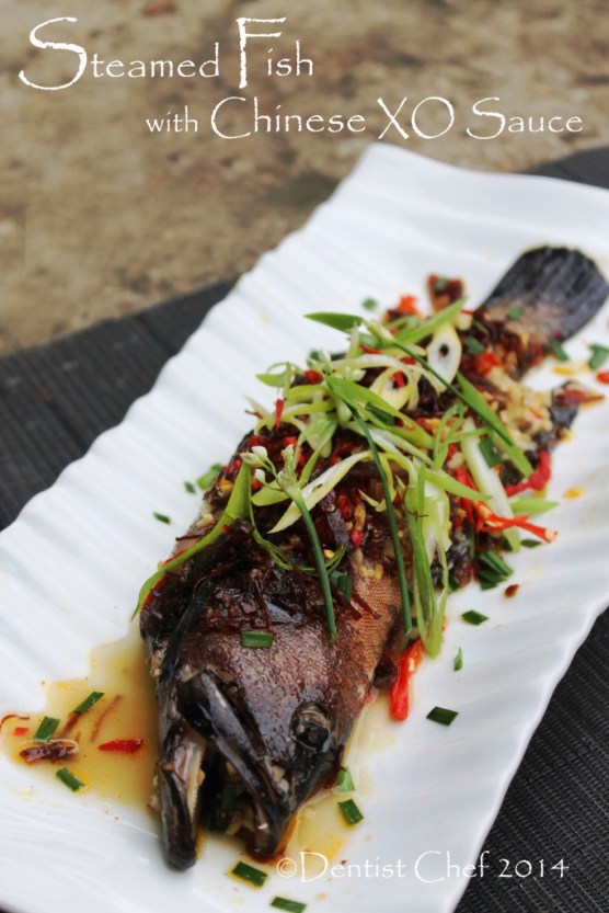 steamed fish xo sauce chinese steam red grouper coral trout blue spotted kerapu sunu hitam