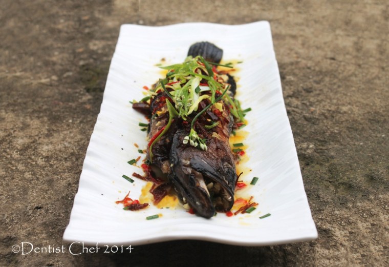 steamed fish xo sauce recipe steam live argus grouper chili garlic chives ginger recipe