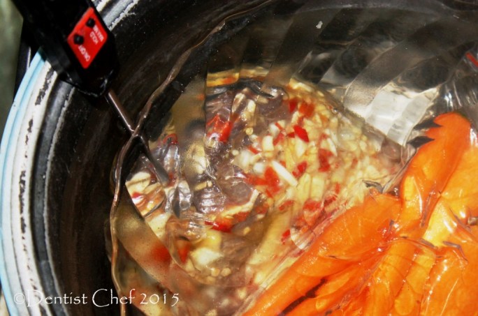 sousvide venison rice cooker waterbath deer meat slow cooker rusa sambar game meat reindeer