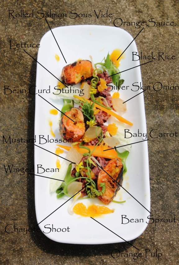 salmon sous vide lemon orange sauce red rice salad winged bean chayote shoot mustard blossom silover skin onion baby carrot
