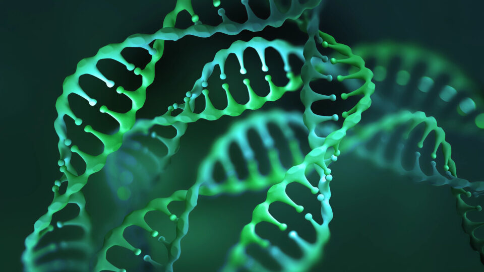 An illustration of DNA molecule structure.