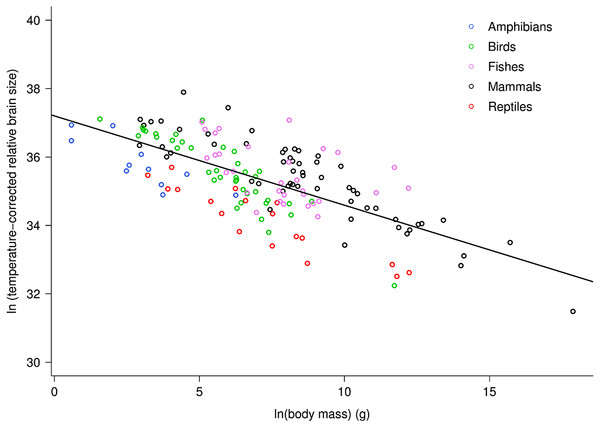 The natural logarithm of temperature-corrected relative brain size vs. the natural logarithm of body mass in vertebrates.