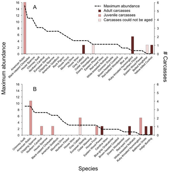 Abundance of avian breeding species and those species affected by window collisions.