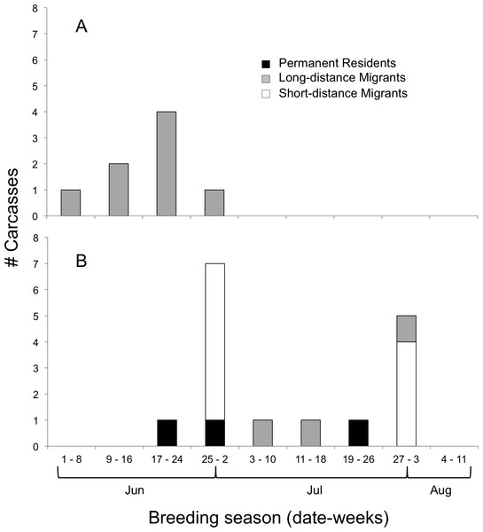 Timing of bird-window collisions throughout the breeding season.