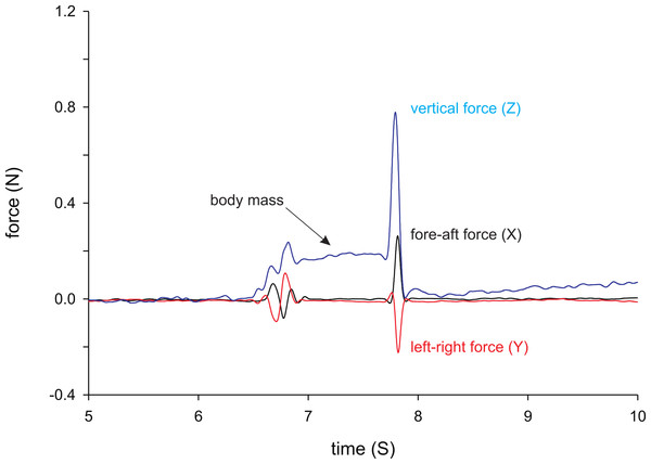 Example force trace from a female X. tropicalis jumping.