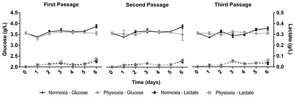 Glucose uptake and lactate concentration in the supernatant of NPCs grown in physioxia (gray lines) and normoxia (black lines) throughout the first, second, and third passages.