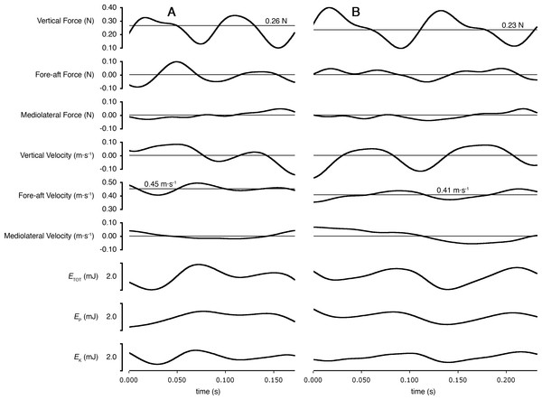 Ground reaction forces, COM velocities, and COM kinetics during a stride cycle for (A) a Short-tailed Shrew (mass = 27.0 g; mean forward velocity = 0.45 m s−1) and (B) a Meadow Vole (23.8 g; 0.41 m s−1).