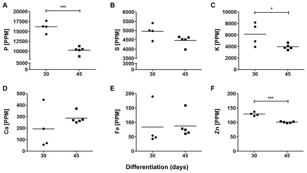 Elemental quantification in cerebral organoids.