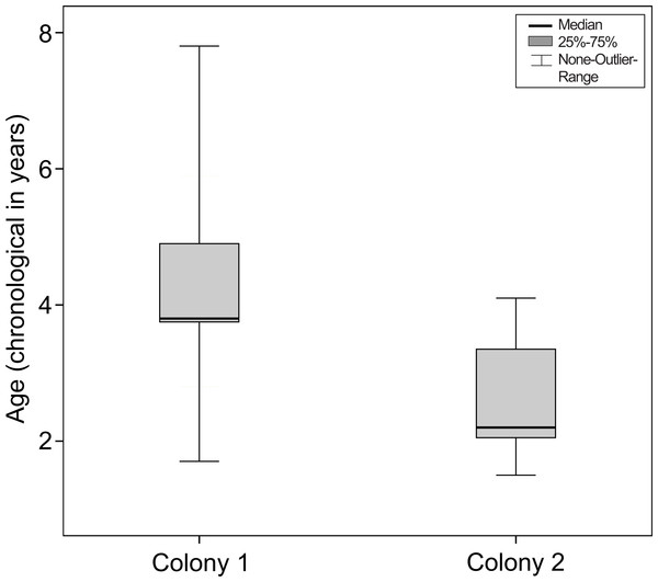 Age at the onset of nuclear sclerosis in mouse lemurs of two colonies with different photoperiodic cycles, measured in chronological years.