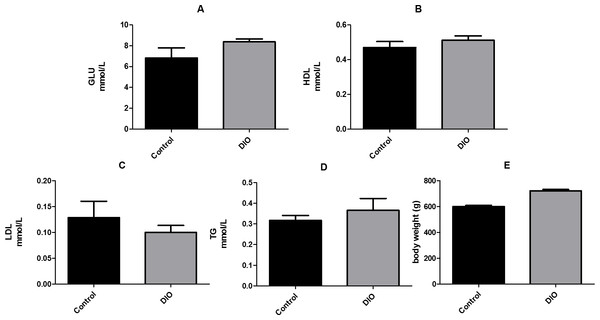 Effect of high fat diet induced obesity (DIO) on GLU, HDL, LDL and TG. Data are expressed as mean ± SEM.