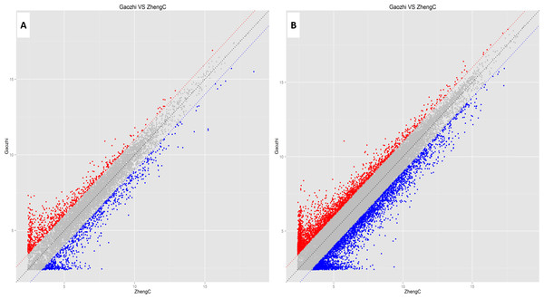 Scatter plots assessing the variation in expression of lncRNAs (A) and mRNAs (B) in the two compared groups.