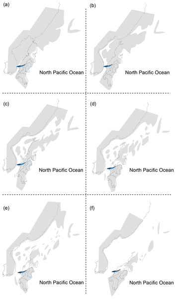 Reconstructing maps of Japan and surrounding areas during the Middle Miocene, particularly ranging from 17 to 15 Ma as this period corresponds to the geological age of HMN specimens and then indicates the change of geography over time: (A) 17 Ma; (B) 16.75 Ma; (C) 16.5 Ma; (D) 16.25 Ma; (E) 16 Ma; (F) 15 Ma.